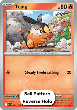 Tepig