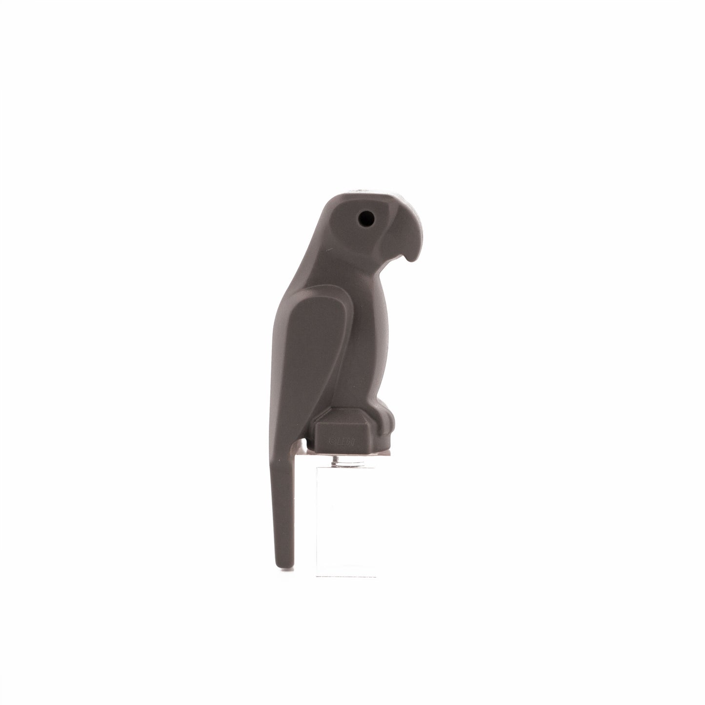 Dark Bluish Gray Bird, Parrot with Large Beak
