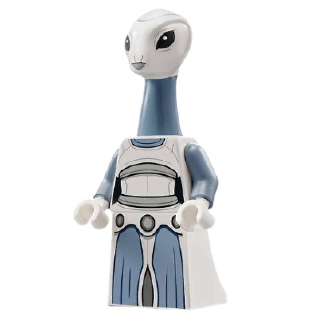 Taun We LEGO Minifigure Gift for LEGO Star Wars Fans
