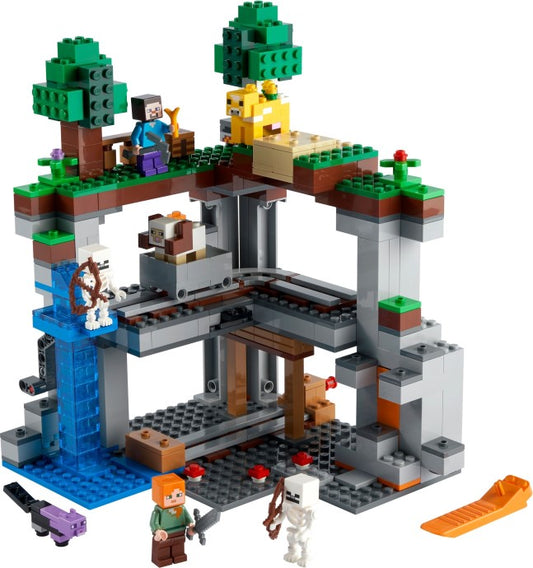 Set 21169-1