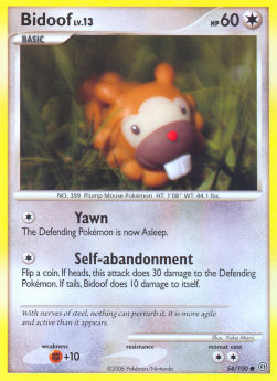 Bidoof Lv.13