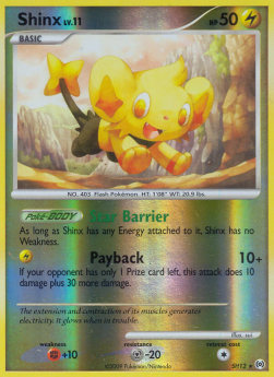 Shinx Lv.11