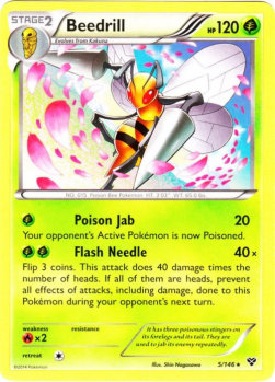 Beedrill - XY (Rare) [XY-5]