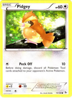 Pidgey