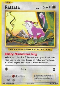 Rattata