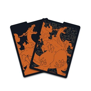 Champion’s Path: 1 Gigantamax Charizard Divider - Champion’s Path