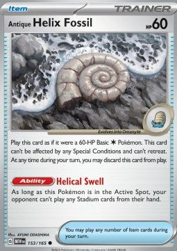 Antique Helix Fossil