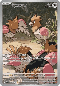 Spearow