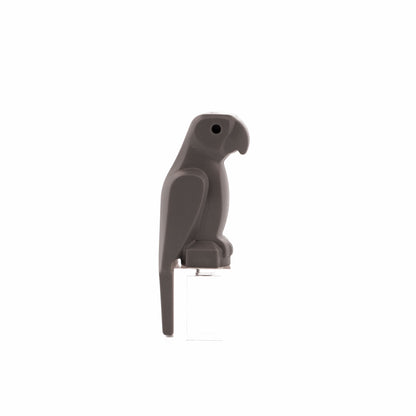 Dark Bluish Gray Bird, Parrot with Large Beak