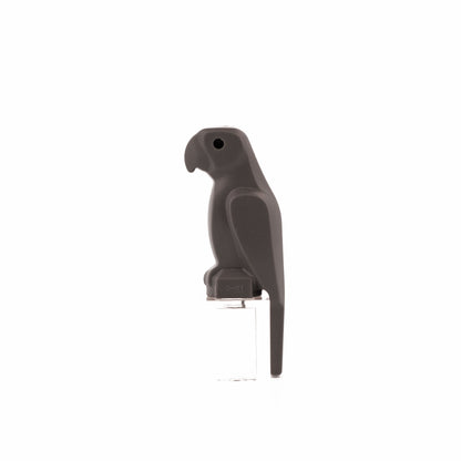 Dark Bluish Gray Bird, Parrot with Large Beak