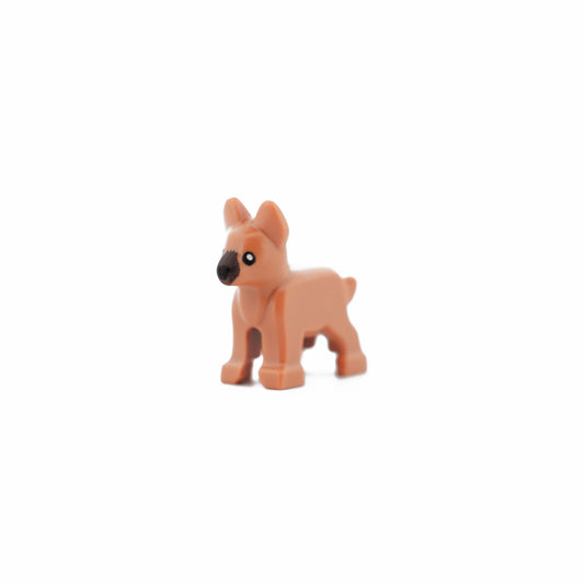 Medium Nougat Dog, Alsatian / German Shepherd, Puppy with Dark Brown Muzzle, Black Eyes and Nose Pattern