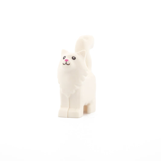 White Cat, Maine Coon, Standing with Black Eyes and Dark Pink Nose Pattern