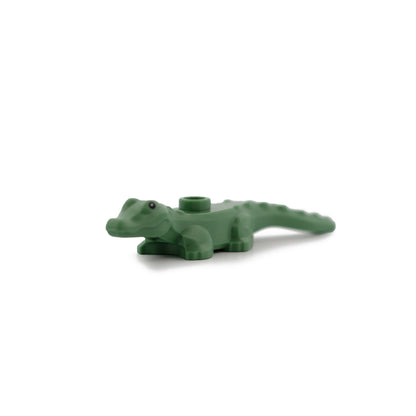 Sand Green Alligator / Crocodile Baby Hatchling with Black Eyes Pattern