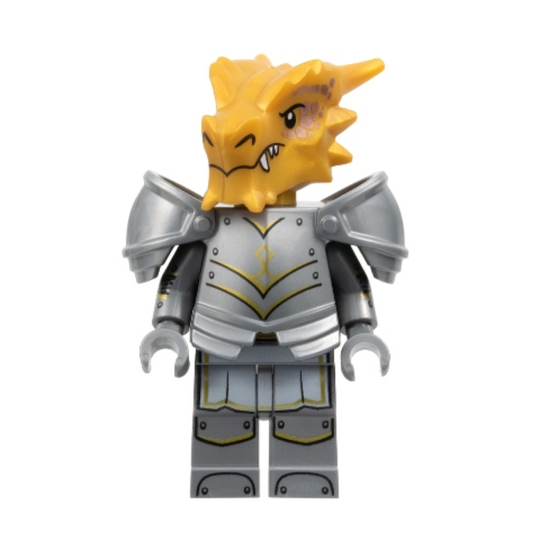 Dragonborn Paladin, Dungeons & Dragons